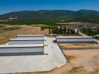 DJI_0142.jpg