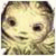 AnthonyRow