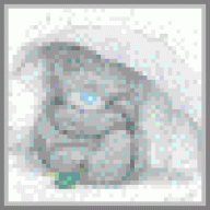 Richardtilla